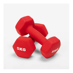 Haltères 5 kg